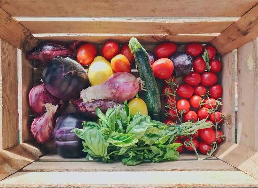 Obozy kite kitesurfingowe na sycylii lo stagnone