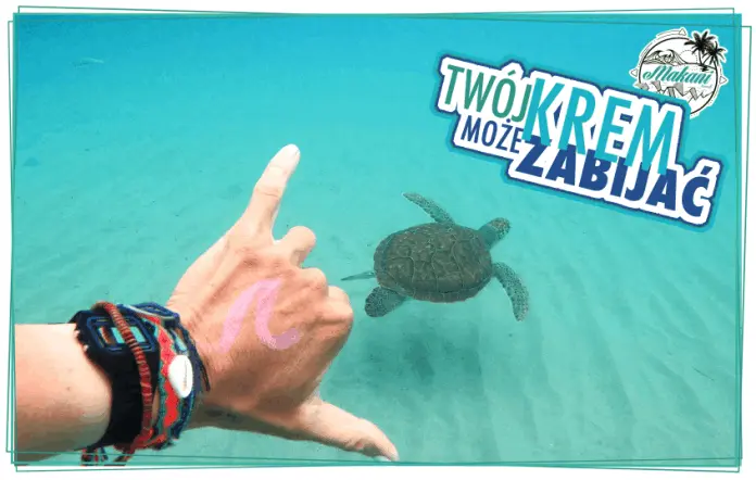 Makani Travel Kitesurfing Szkoła kitesurfingu