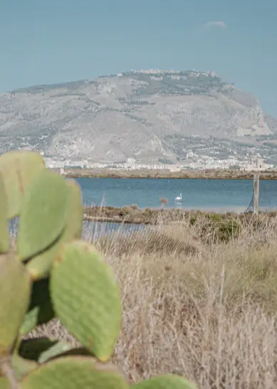 Makani Travel Kitesurfing Szkoła kitesurfingu Erice